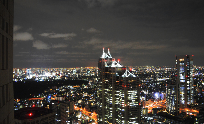 Want a great view of Tokyo from your wheelchair? The Tokyo Metropolitan Government Building offers just that. 